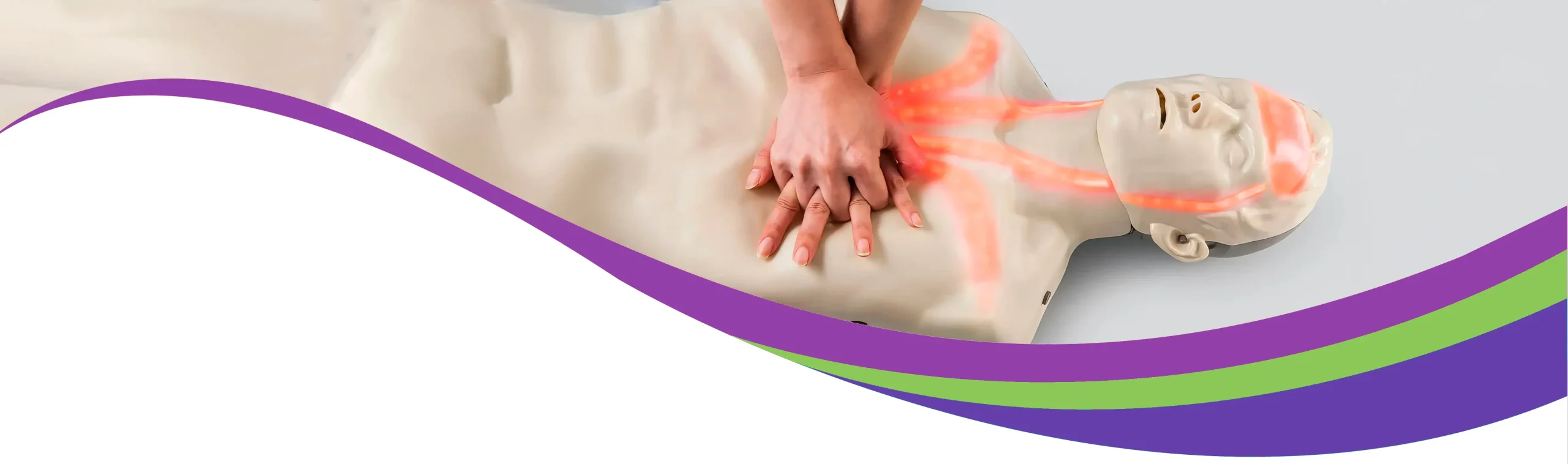 Maisie Kaufman Learning Centre Course HLTAID009