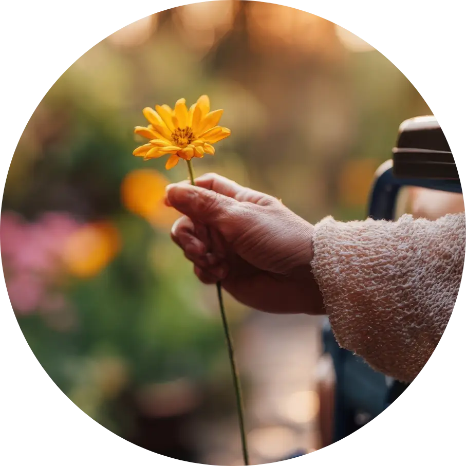 TESS circular flower.webp