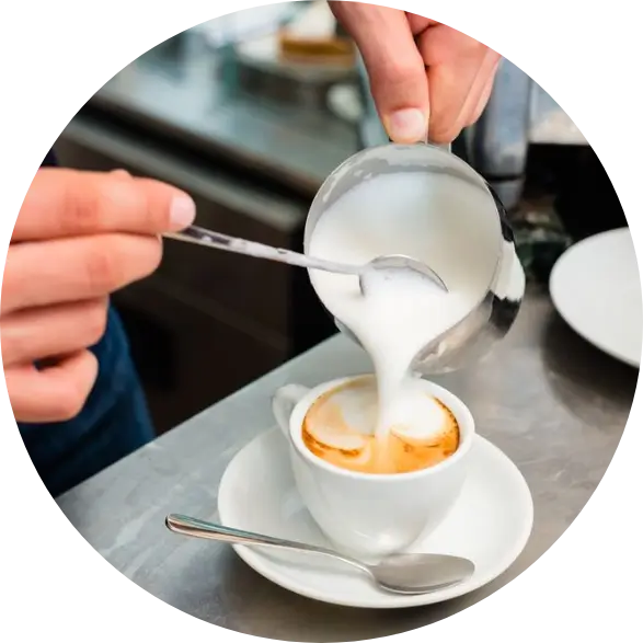 tess shortcourses 1.webp